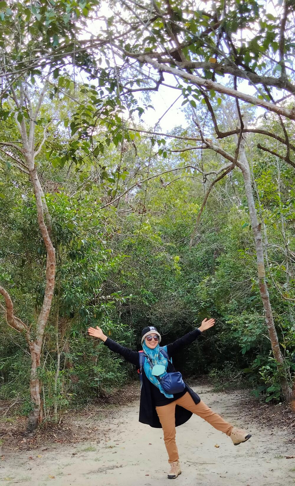 Orangután en Tanjung Puting