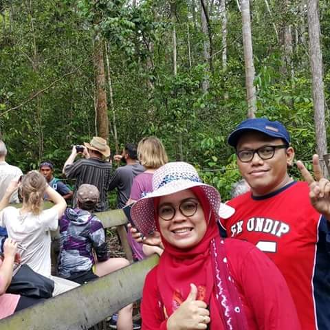 Grupo de gira de orangutanes