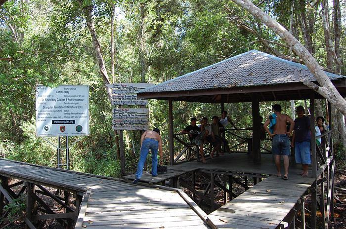 Campamento Leakey