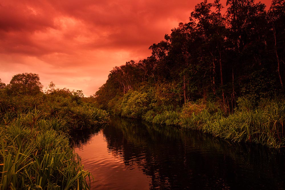 Una impresionante puesta de sol dorada sobre las sinuosas aguas del río Sekonyer.