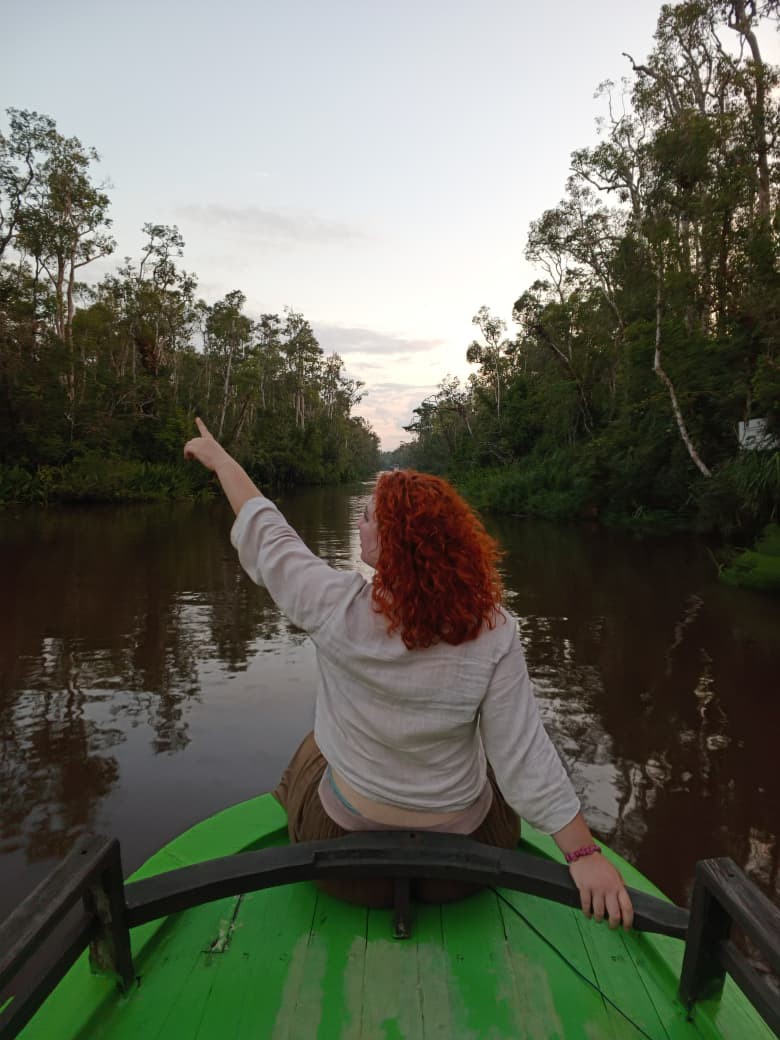 Mengamati satwa liar dari haluan klotok saat senja ketika sungai bersinar dalam cahaya emas.