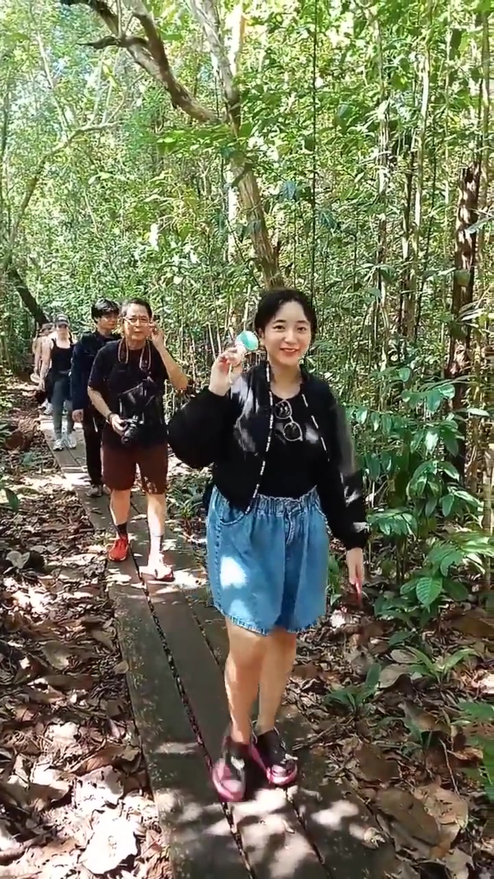 Tamu berjalan melalui jalur hutan lebat dalam trekking terpandu menuju stasiun pemberian makan orangutan.