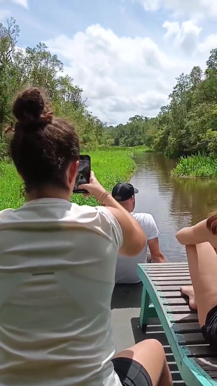 Tamu mengabadikan momen satwa liar dengan kamera dan ponsel saat klotok meluncur di sungai.