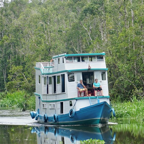 Orangutan Tour