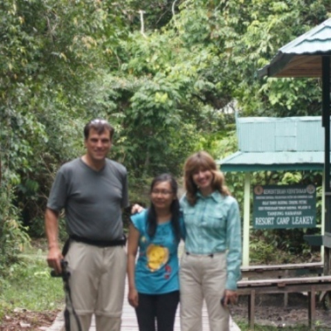 Orangutan Tour